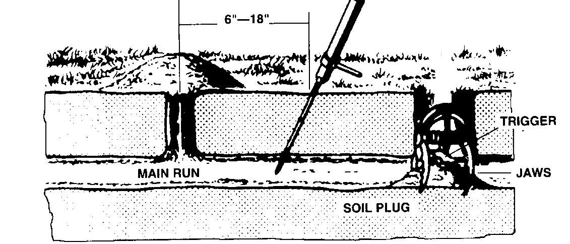 Figure described in surrounding text.