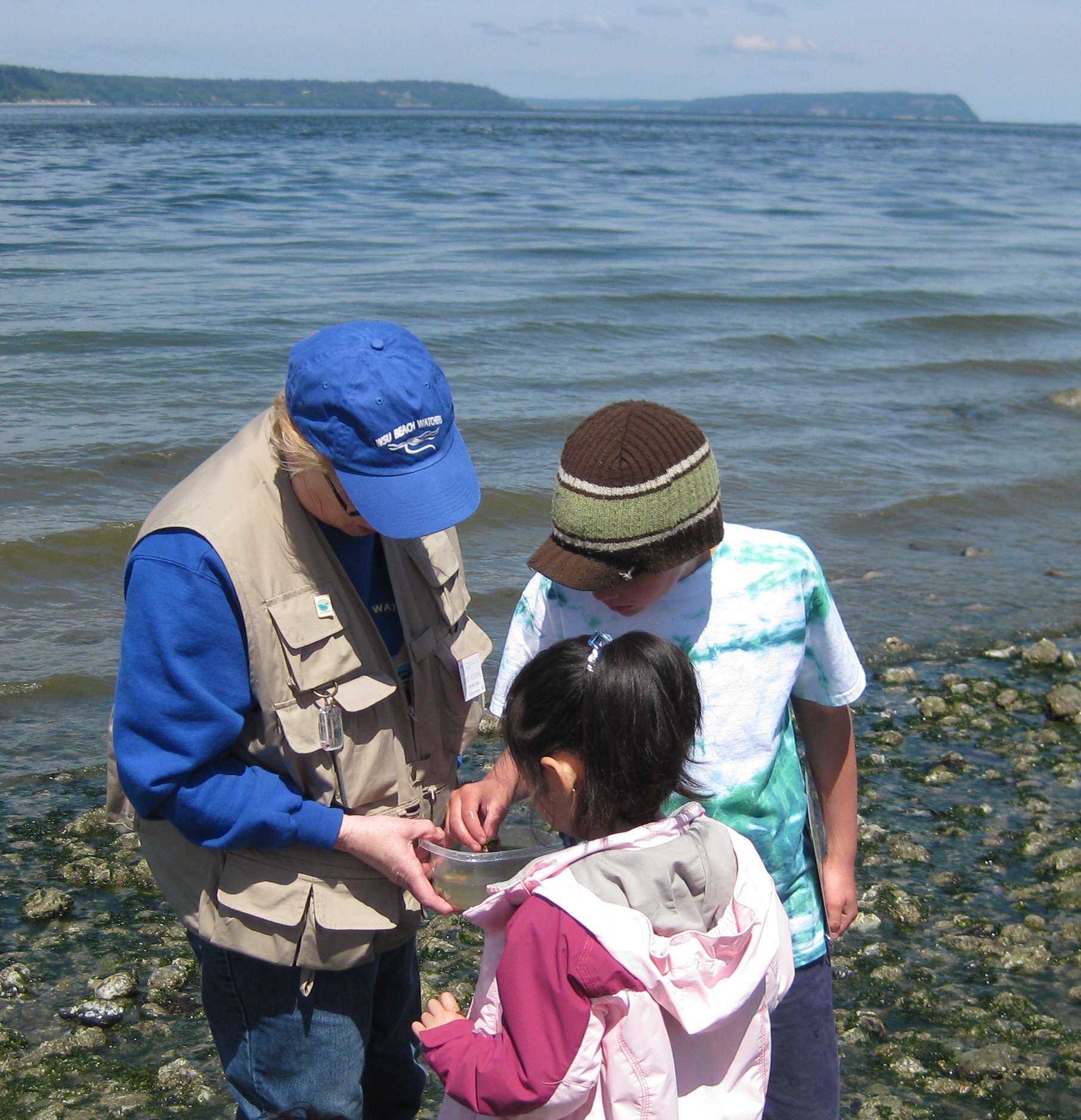 Beach naturalist with kids
