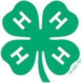 4-H clover.