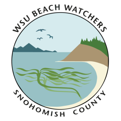 WSU Beach Watchers, Snohomish County.