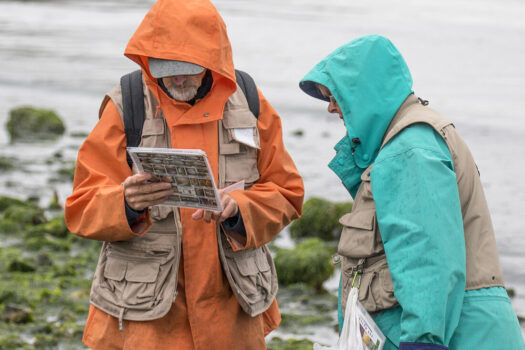 volunteers at low tide looking at ID sheet
