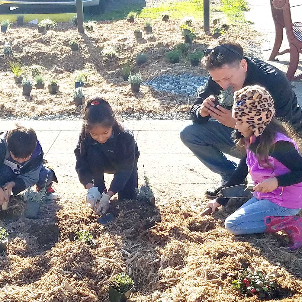 Children and an adult crouch together outdoors, planting small plants in soil covered with mulch on a sunny day.