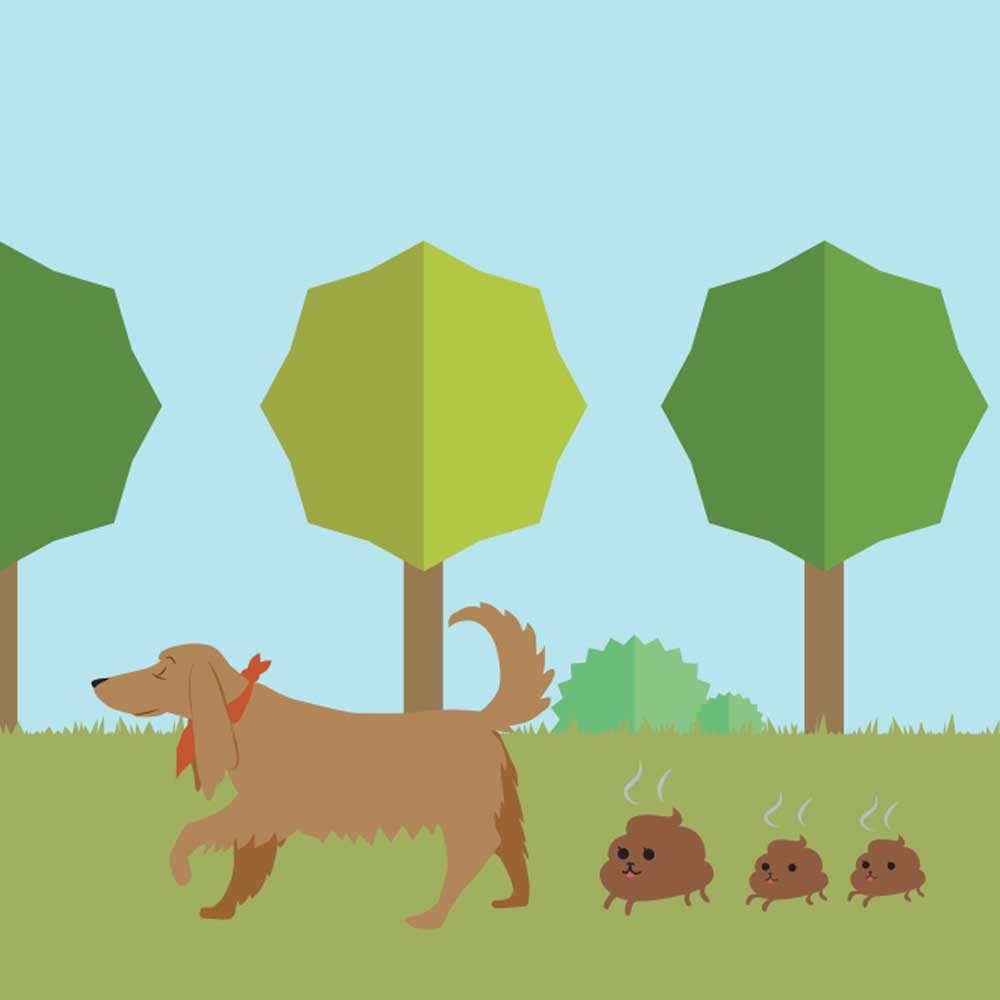 Illustration of dog walking next to trees.