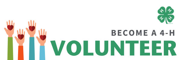 Link to 4-H Volunteer page