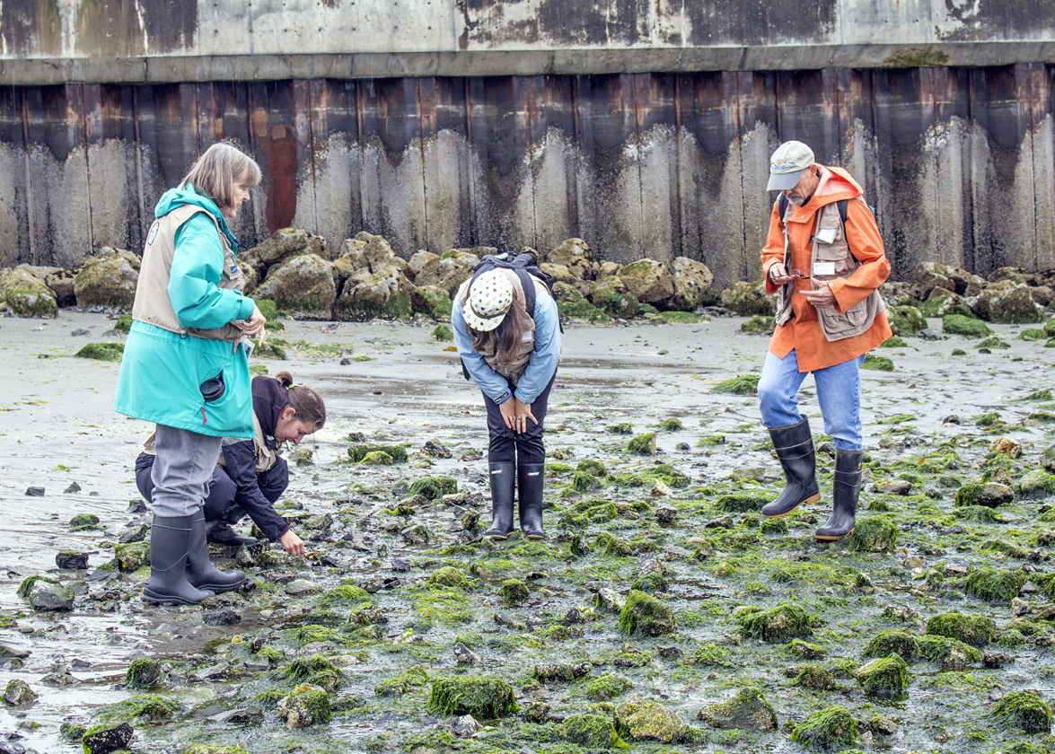 Four people inspecting a beach.