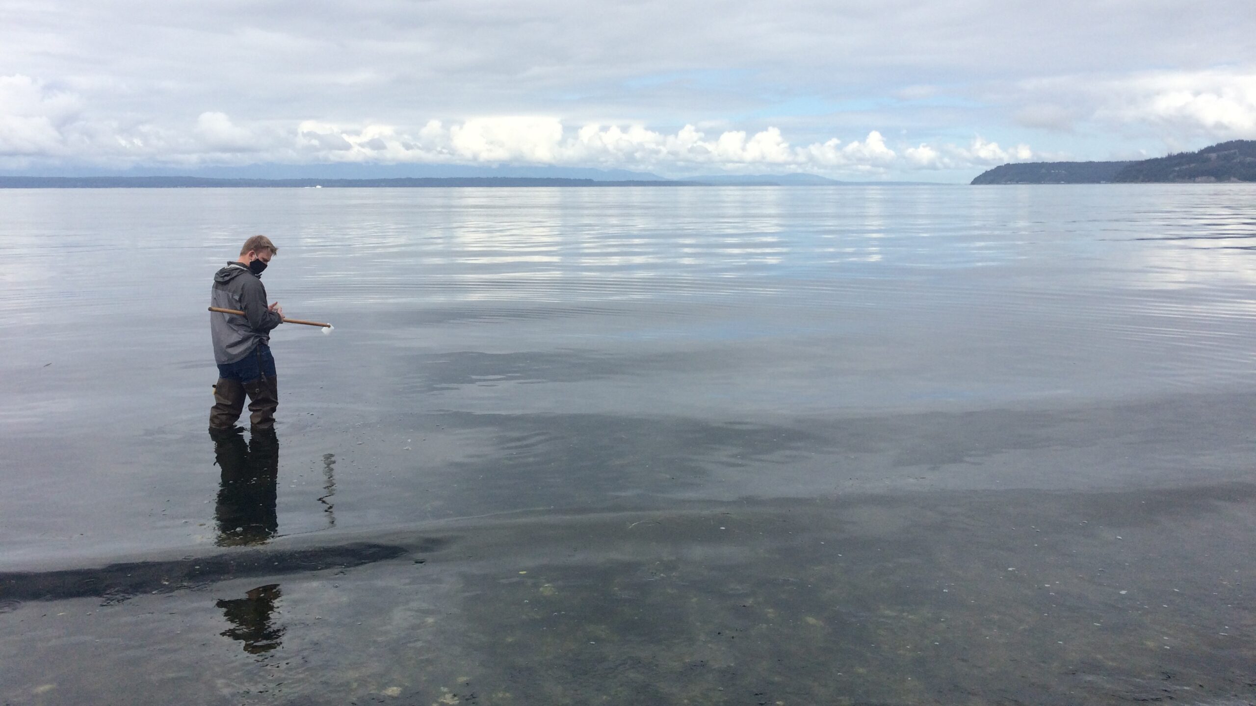 Volunteer sampling water in Puget Sound