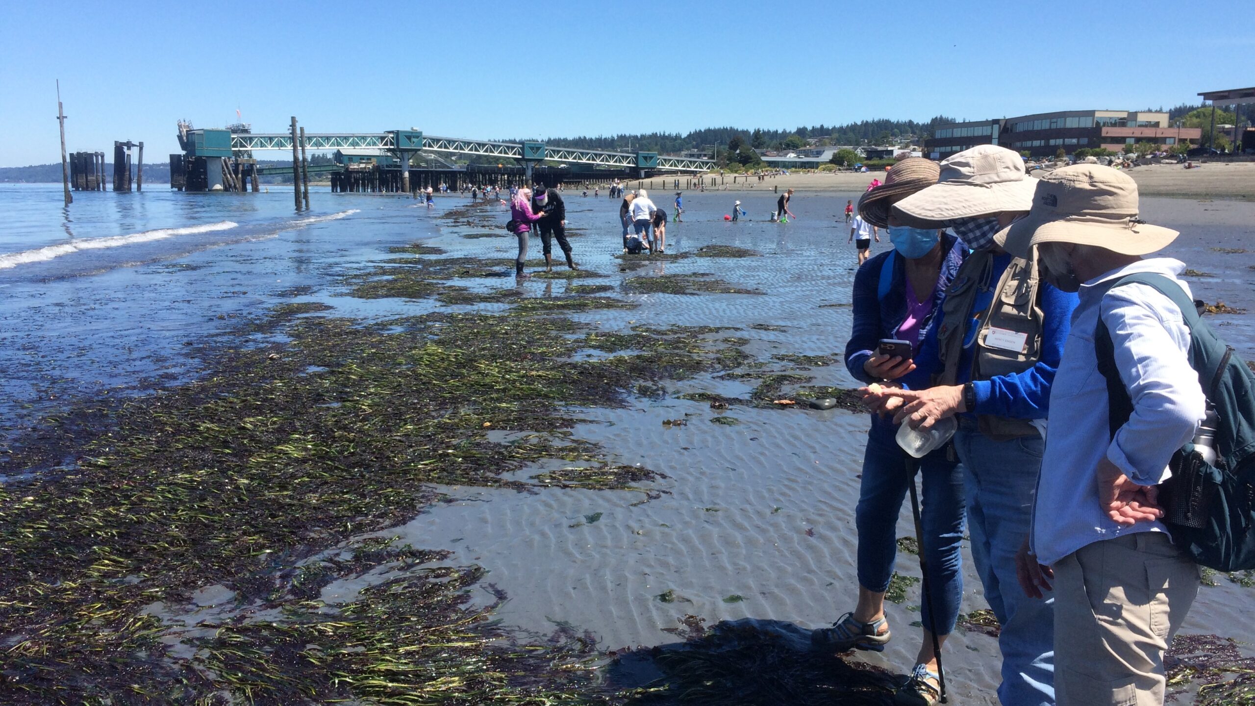 Volunteers talking to public at Olympic Beach in Edmonds