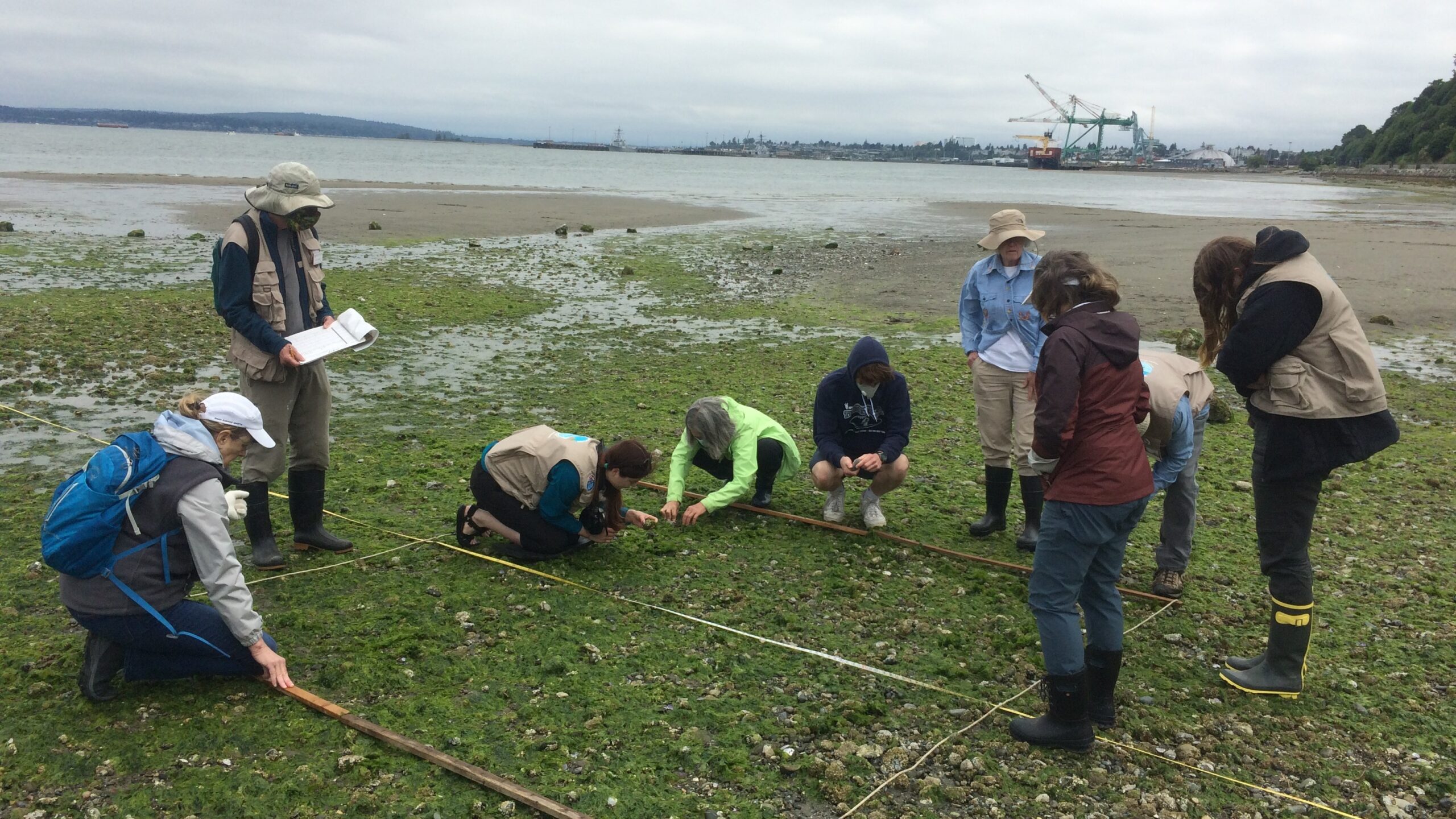 Volunteers working taking citizen science data at Howarth Park