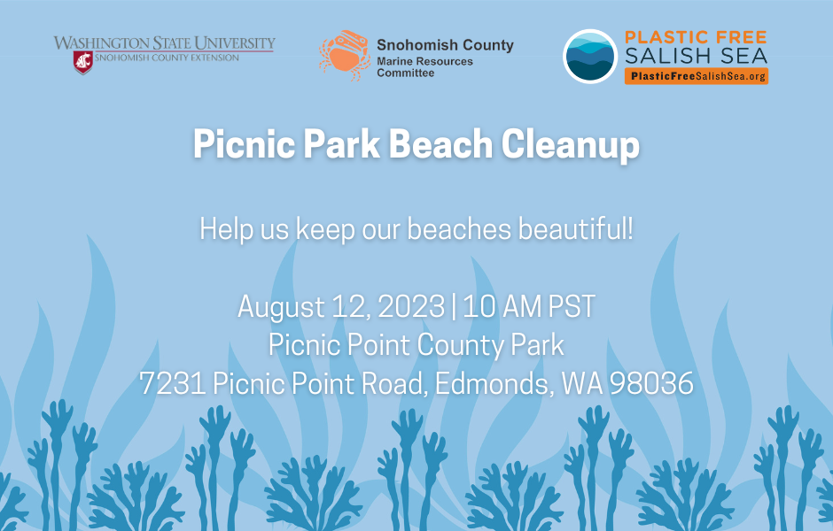 Picnic Park Beach Cleanup