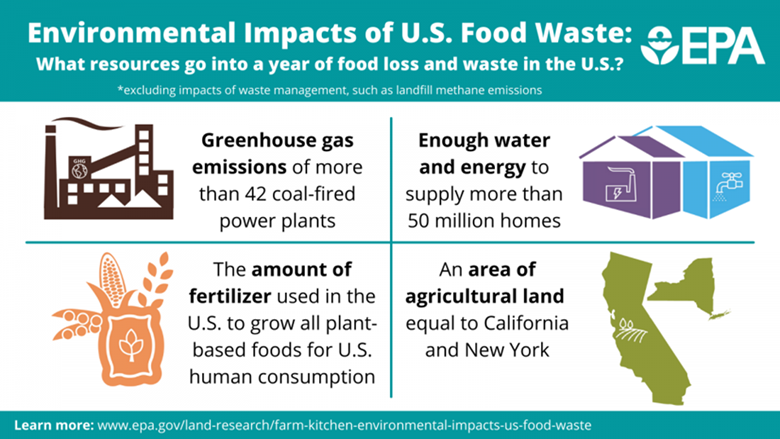 Graphic displaying environmental impacts of United States food waste
