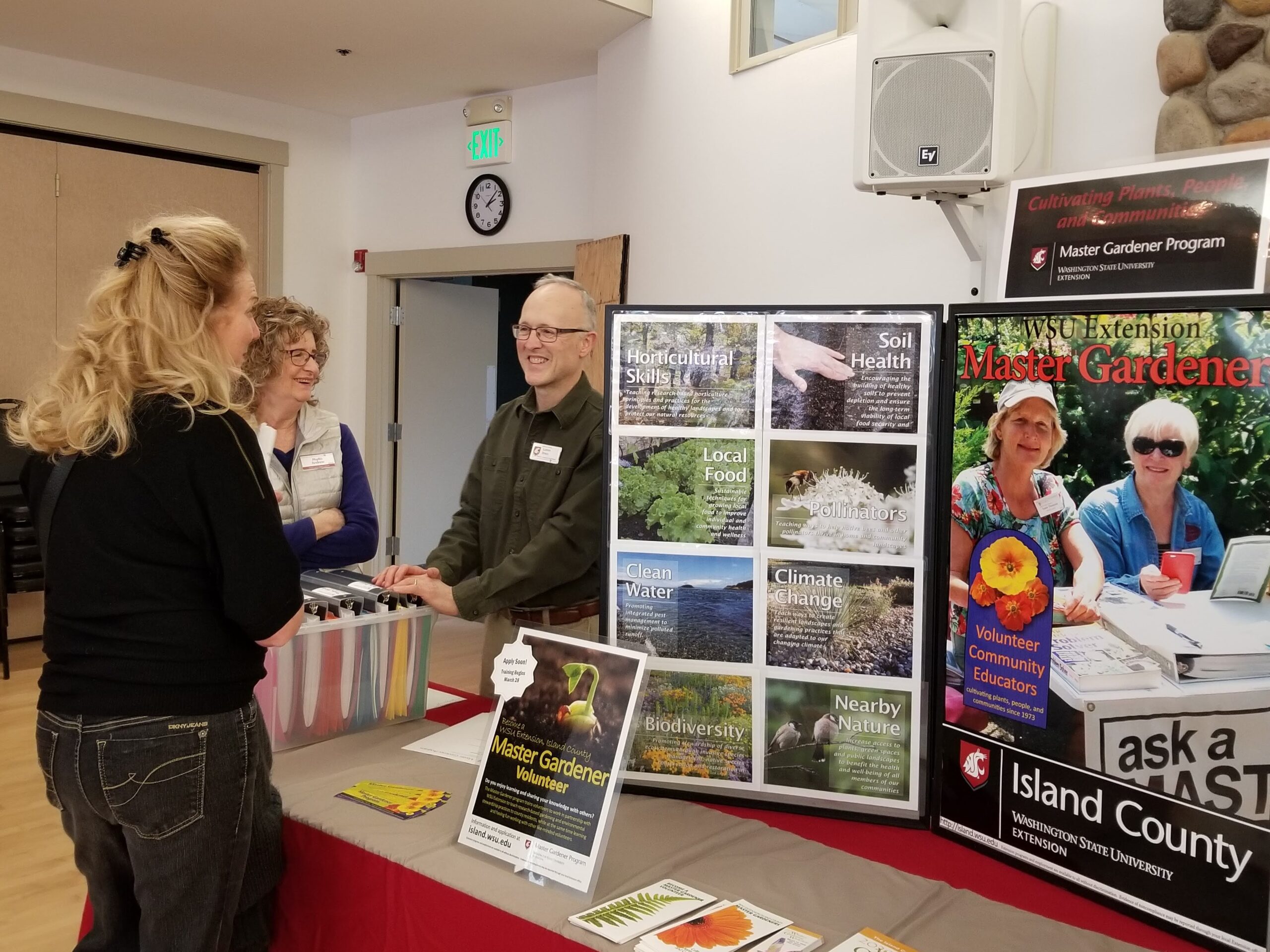 butterfly on a flower.