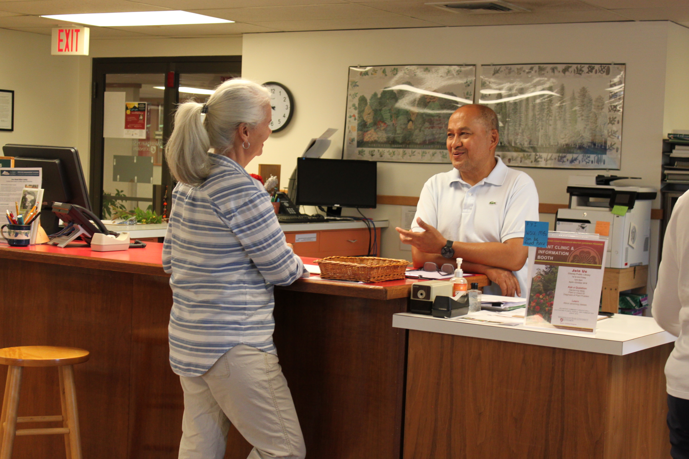 Wood chips in the demo garden