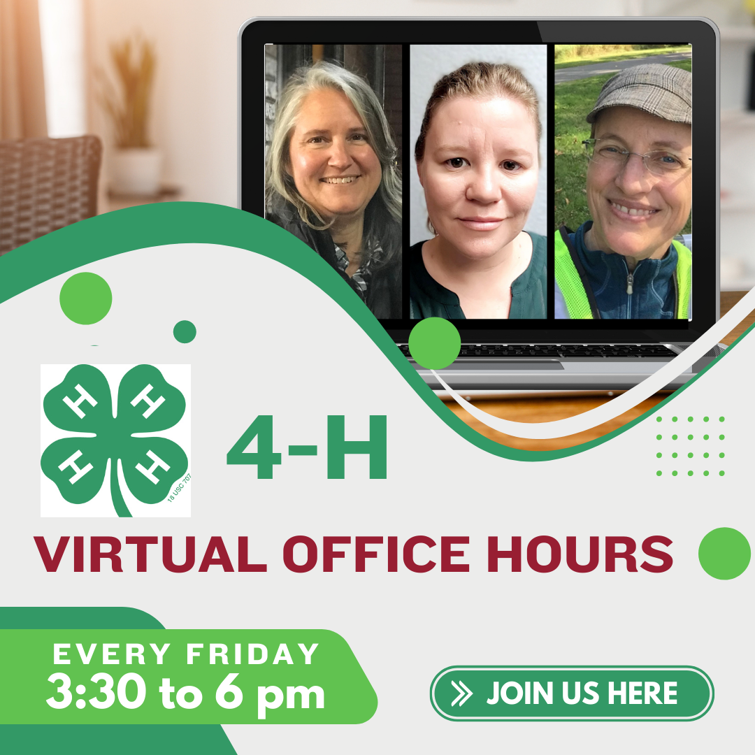 4-H Virtual Office Hours every Friday 3:30 to 6:00 p.m.