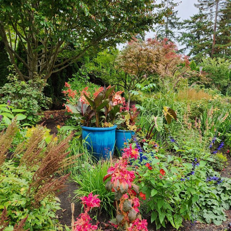 Flowers and flowers in pots.