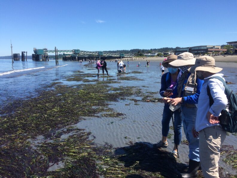 Volunteers on Olympic Beach in Edmonds