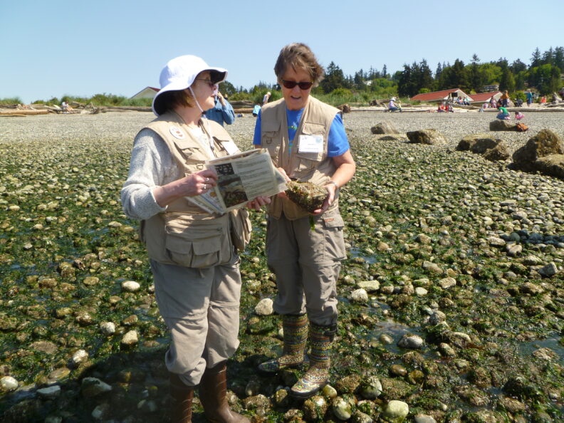 volunteers at low tide