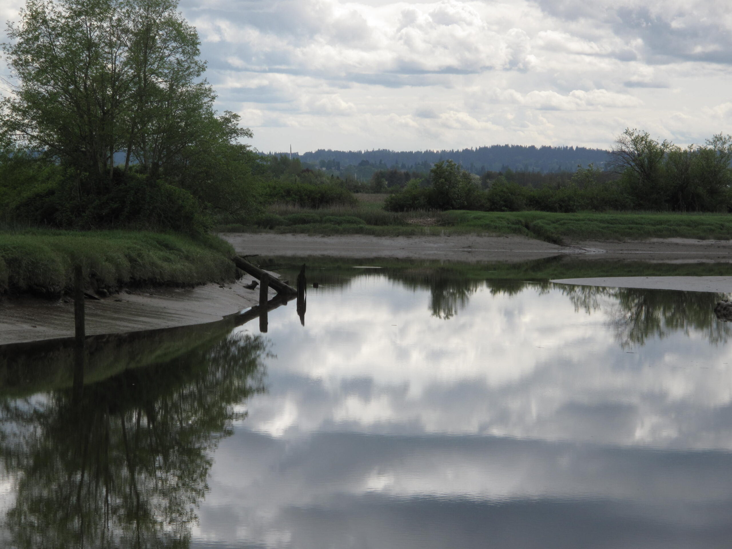 calm estuary with sky reflection