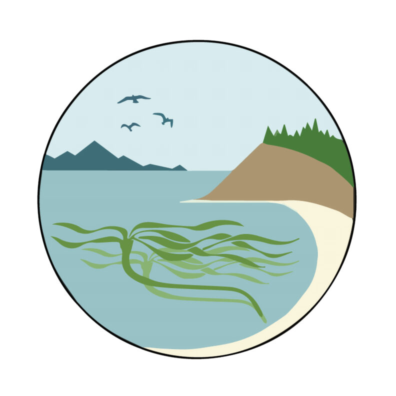 WSU Beach Watcher Logo