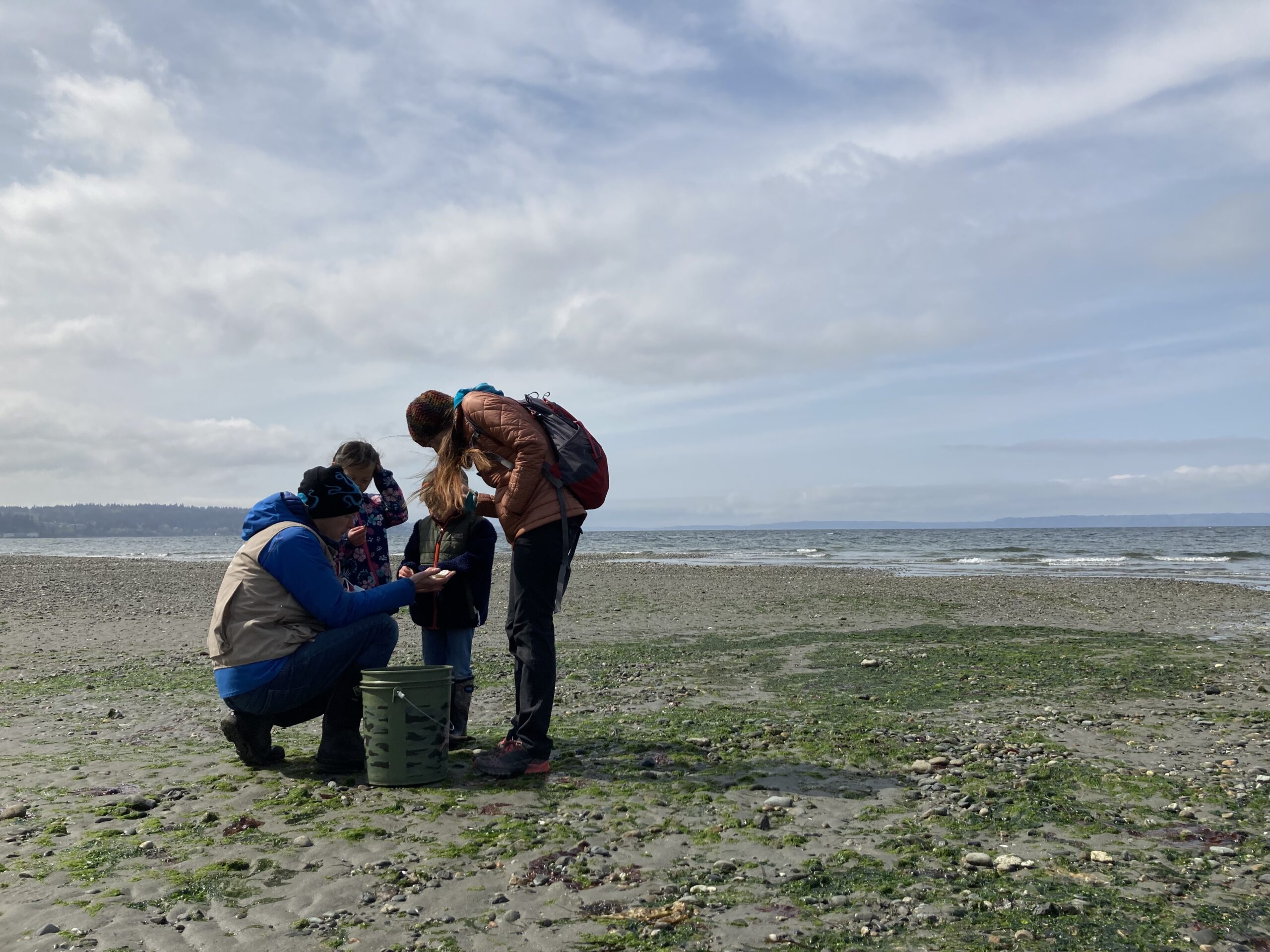 People learning about a shell from Beach Watcher volunteer on beach
