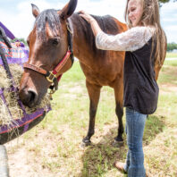 Horse with girl.