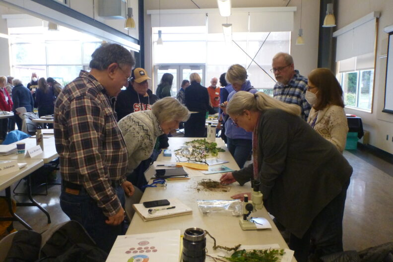 Master Gardeners at training table examining plant specimens