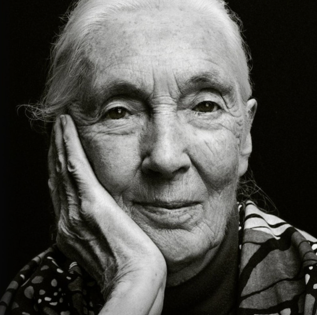 Dr. Jane Goodall