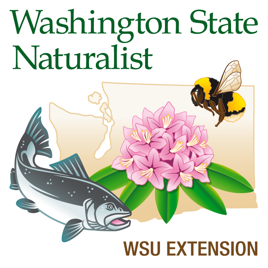 Washington Naturalist logo