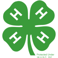 4-H Clover Logo