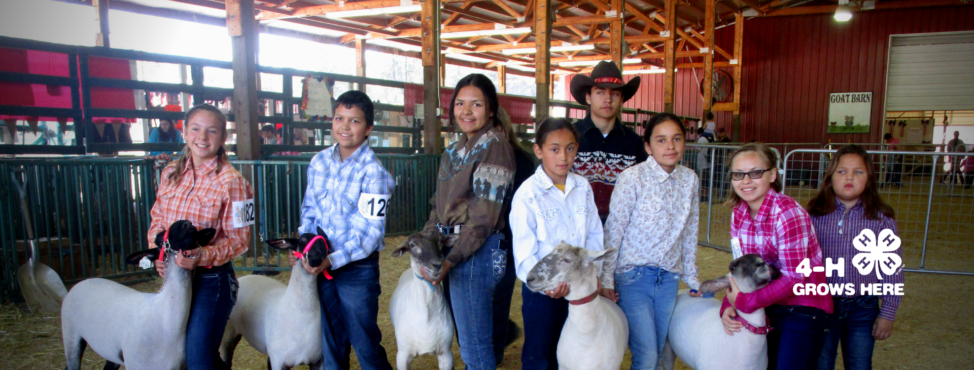 A group of 4-H youth in western clothing stand with their sheep inside a barn, smiling at the camera. A sign reads “Goat Barn,” and the 4-H logo with the words “4-H Grows Here” is in the lower right corner.