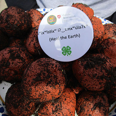 Pile of Seed Bombs with Heal the Earth sticker