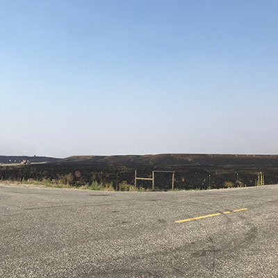 Scorched Earth for replanting