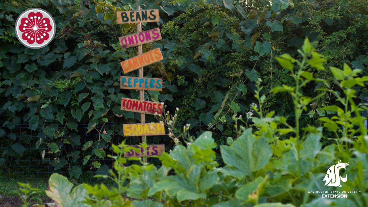 Garden sign listing various vegetables