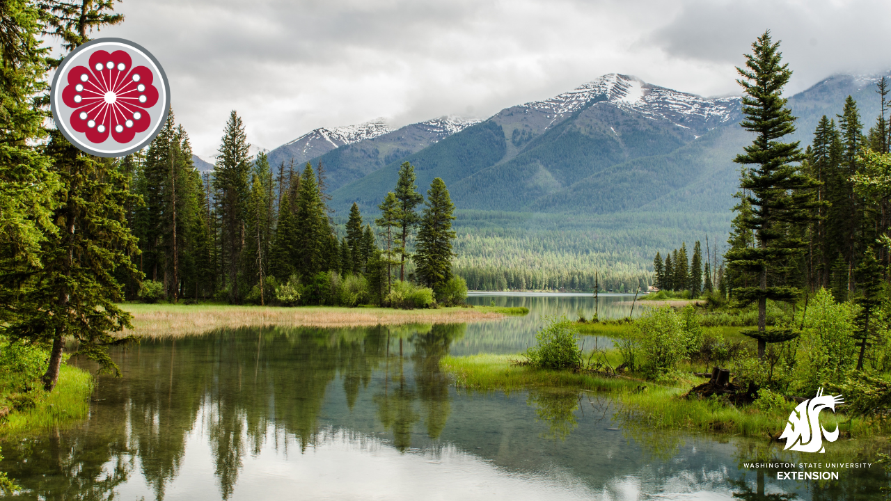 Calm river flowing through trees with mountain in background.