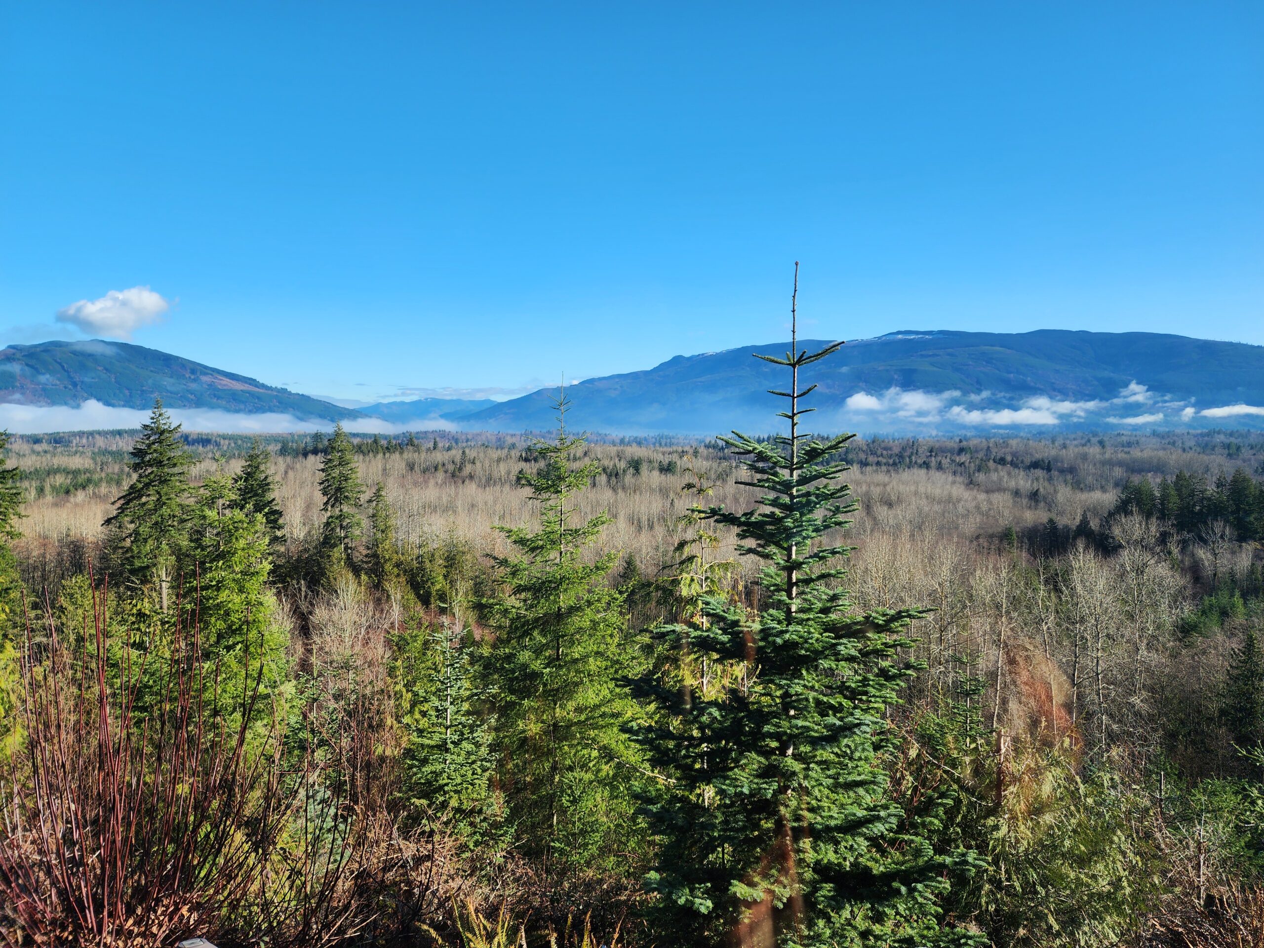 A mountainous landscape with maple growing in the valley.