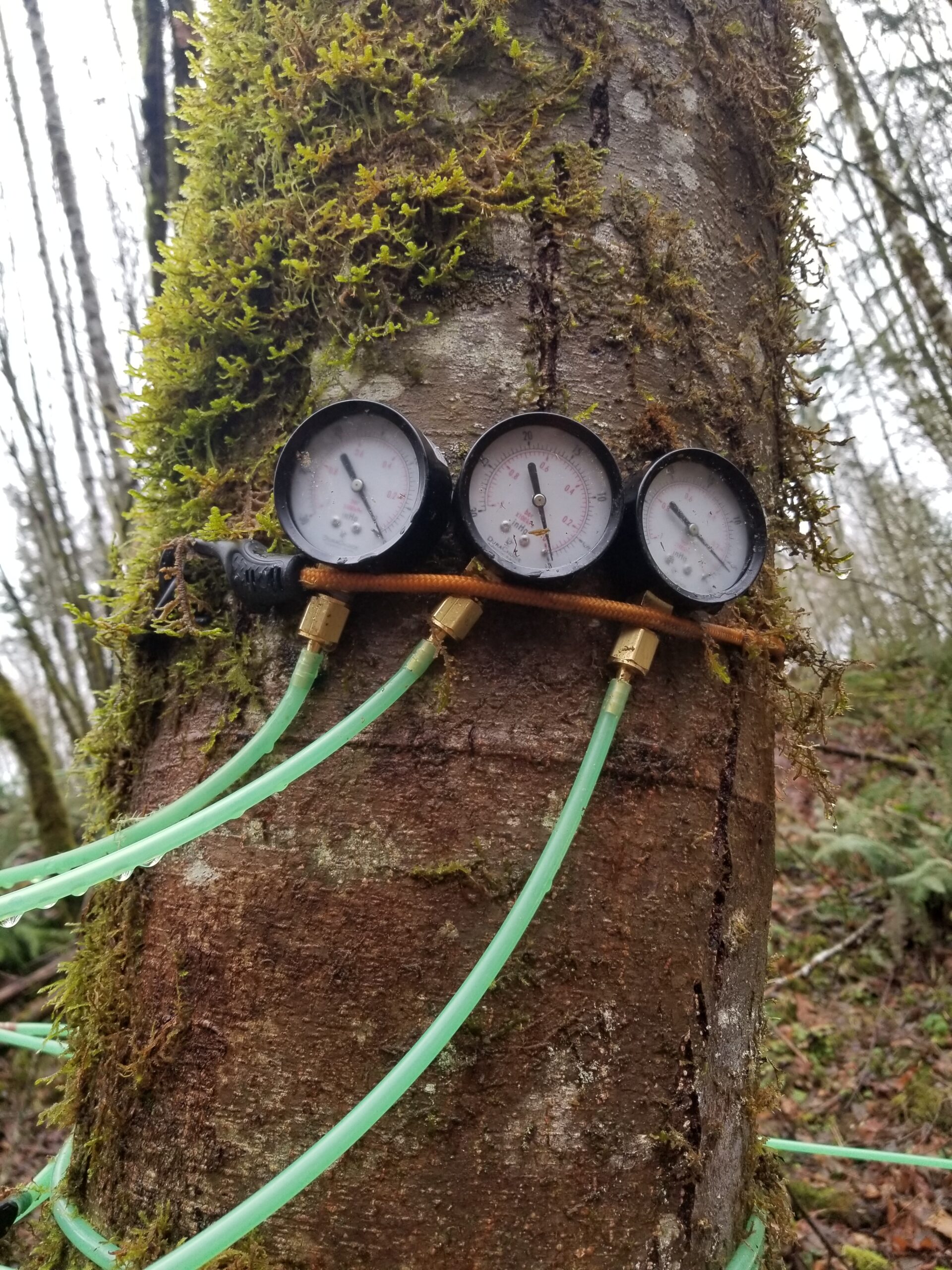 Meters measuring vacuum in a tubing system