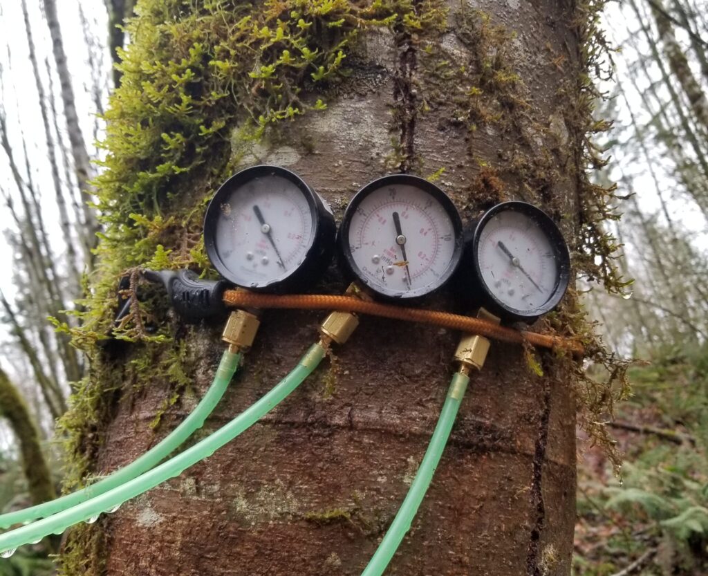 Vacuum meters in the woods.