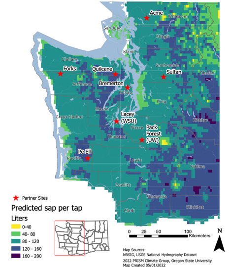 A graphic showing western Washington and predicted sap flows based on UW research. Light green areas experience less sap flow while dark green and blue areas experience greater sap flow. Sap production is classified in liter ranges: 0-40, 40-80, 80-120, 120-160, and 160-200. Partner sites are located with a red arrow. Map sources: NRSIG, USGS National Hydrography Dataset. 2022 PRISM Climate Group, Oregon State University, Map Created 05/01/2022.