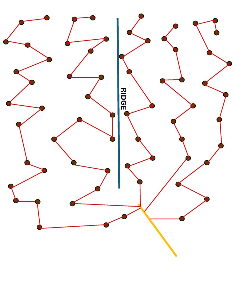 Tubing system graphic with lateral lines in red, trees in brown, and mainline in yellow, with a ridge running down the middle.
