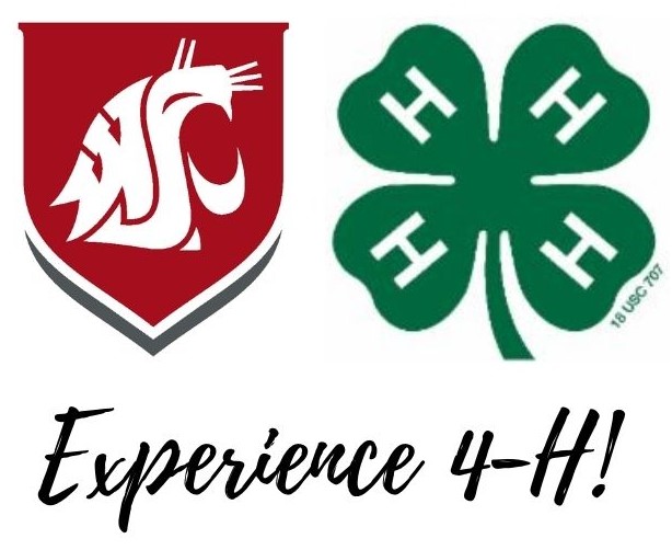 Washington State University and 4-H logos with the text 'Experience 4-H!