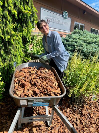 Master Gardener smiles at camera while working in garden with wheelbarrow full of mulch