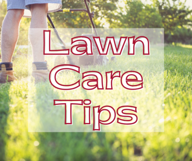 Lawn Care Tips