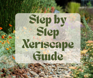 Step by Step Xeriscape Guide
