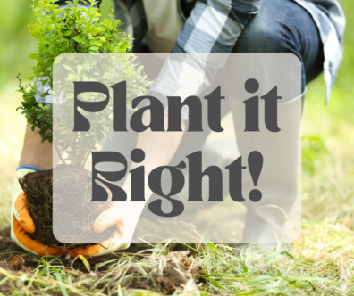 Plant it Right!