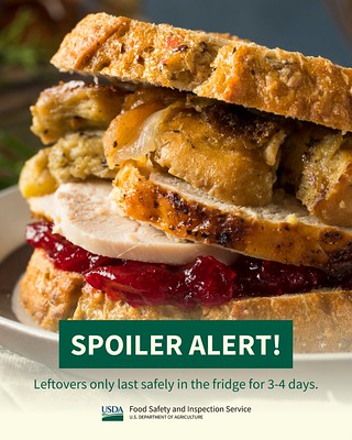 spoiler alert! leftovers only last safely in the fridge for 3 to 4 days. USDA