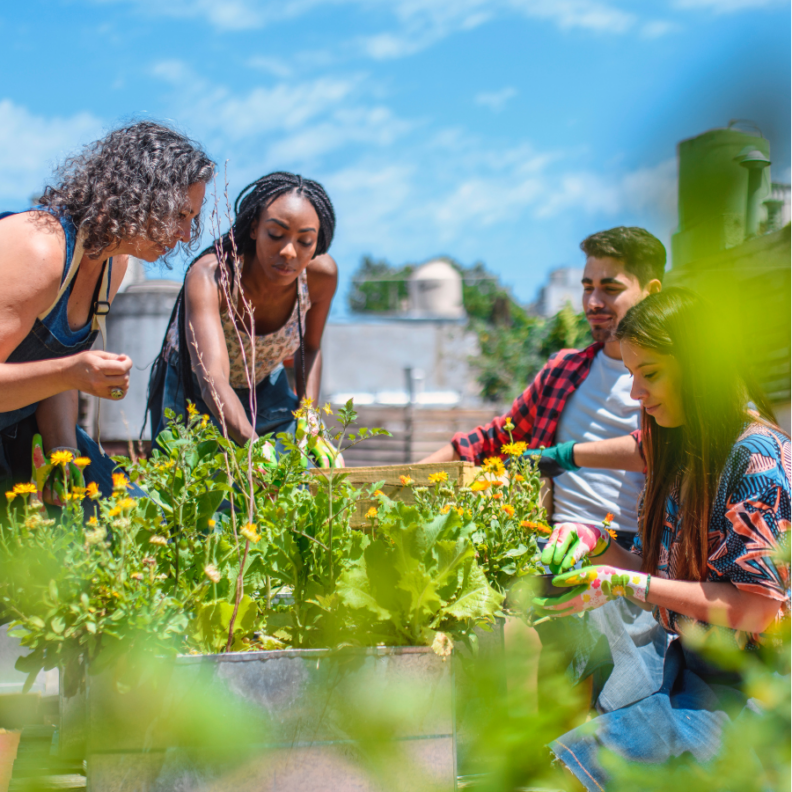 Group of 4 people planting a flowerbed