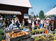 People walking and shopping at an outdoor fall market with pumpkins and flowers on display.