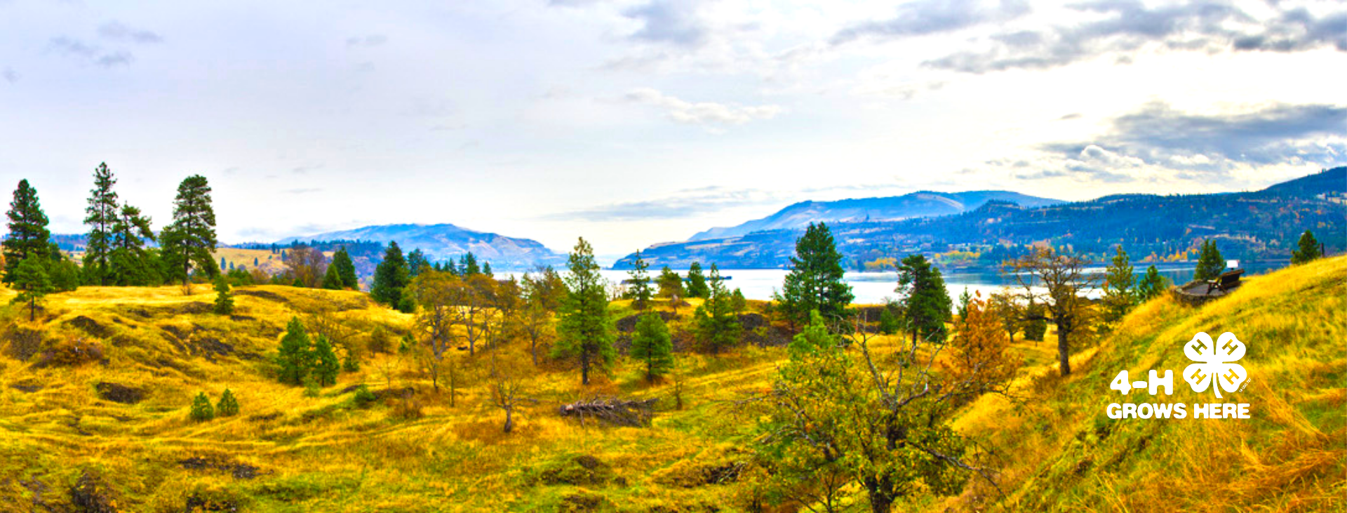 Golden autumn hills and evergreen trees overlooking a lake, with a logo in the corner that reads, '4-H GROWS HERE'.