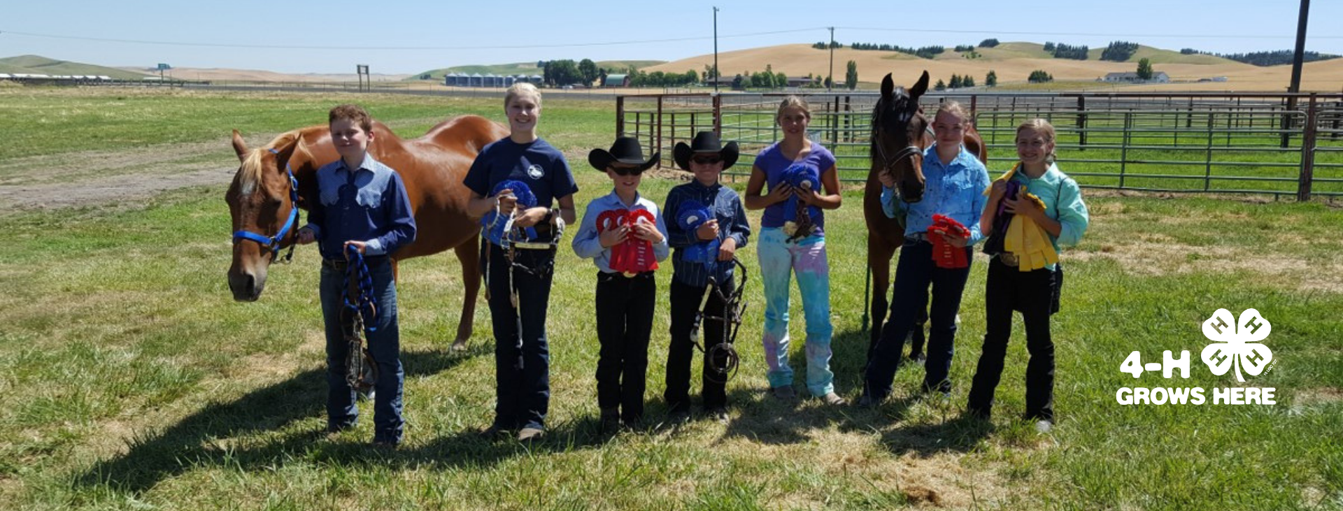 group of 4-H youth with ribbons and horses