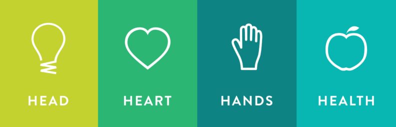 4-H icons of head, heart, hands, and health.