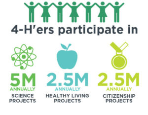 An infographic about the 4-H Vision.